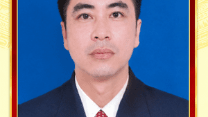 Đinh Văn Cương