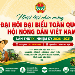 <a href="/tin-tuc-su-kien" title="TIN TỨC, SỰ KIỆN" rel="dofollow">Kinh tế - Chính trị</a>