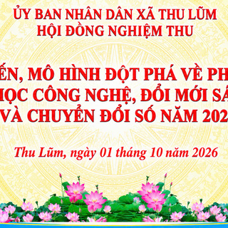 <a href="/tin-tuc-su-kien" title="TIN TỨC, SỰ KIỆN" rel="dofollow">Kinh tế - Chính trị</a>