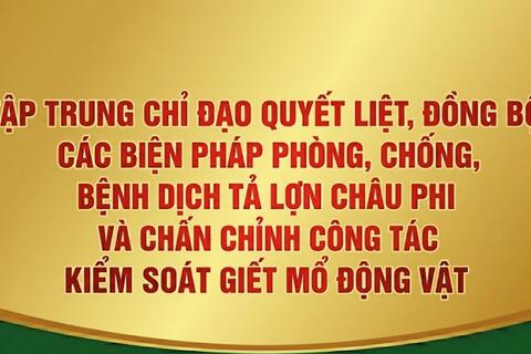Tập trung chỉ đạo quyết liệt, đồng bộ các biện pháp phòng, chống, bệnh Dịch tả lợn Châu Phi và chấn chỉnh công tác kiểm soát giết mổ động vật