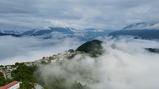 upload/105515/20260513/anh_tren_cao_tiep_5d8cf.png