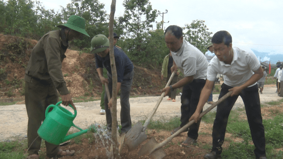 upload/105515/20260520/anh_5_0ab76.png
